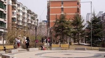 重庆安置房爆料事件最新,揭露背后真相与争议